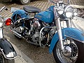 OldiesVet 022